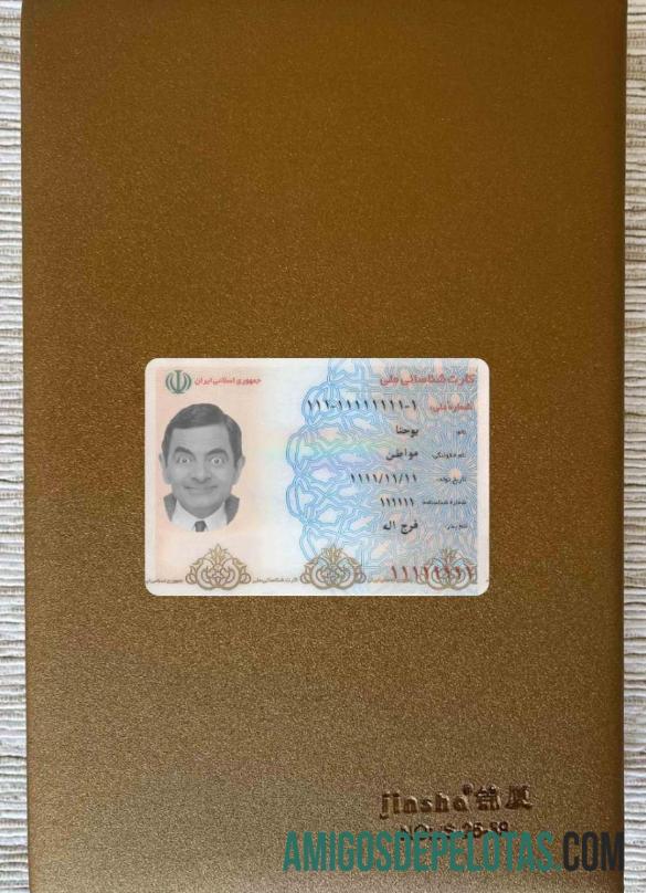 Iran bilhete de identidade olhar de foto frente exemplo